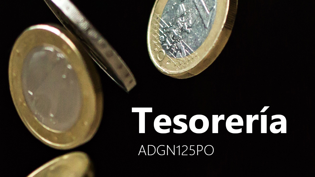 Curso de Tesorer&iacute;a (ADGN125PO)