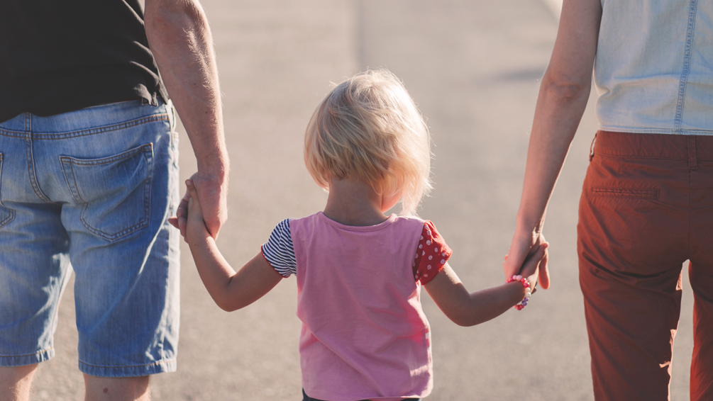 Curso de Conciliaci&oacute;n de la vida familiar y laboral