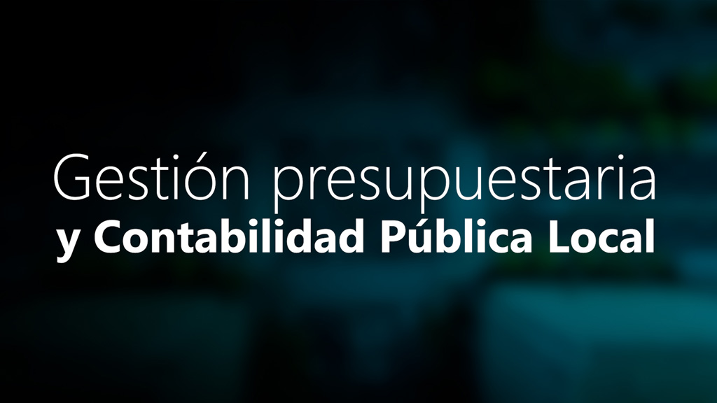 Curso de G. presupuestaria y contabilidad p&uacute;blica local