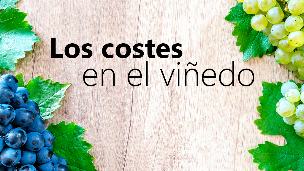Curso de Los costes en el vi&ntilde;edo