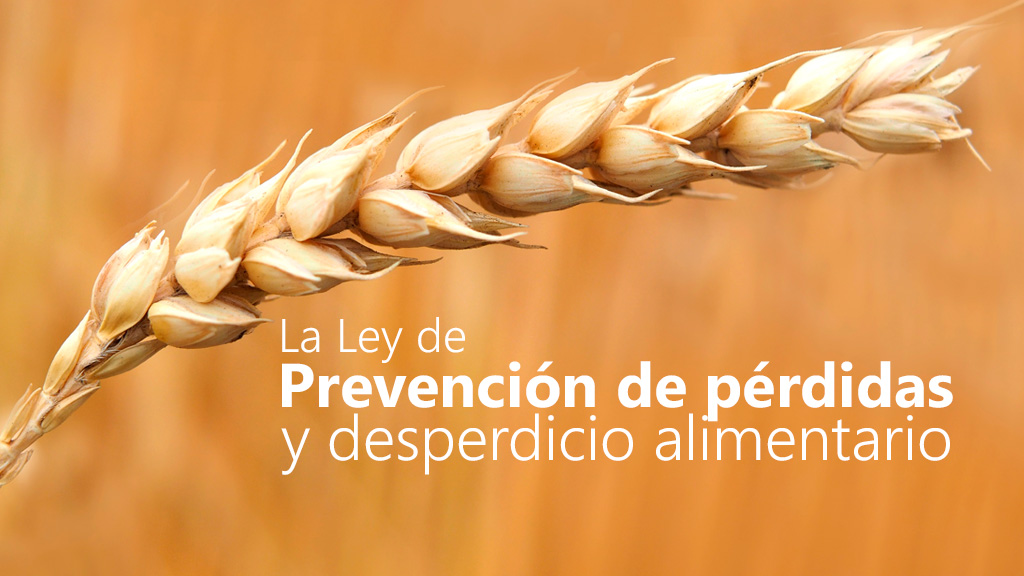 Curso de Prevenci&oacute;n de p&eacute;rdidas y desperdicio alimentario