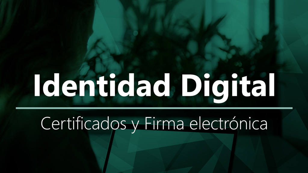 Curso de Firma y certificados electr&oacute;nicos