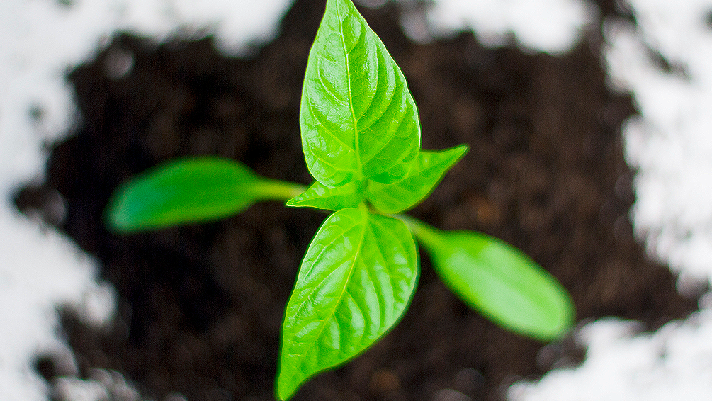 Curso de Creaci&oacute;n de empresas