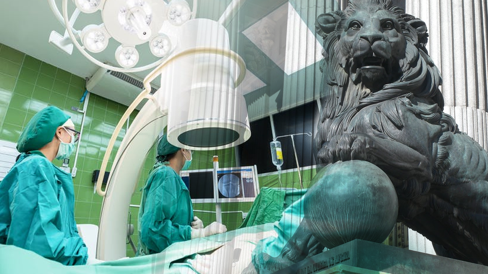 Curso de Ley 55/2003: Estatuto marco servicios salud