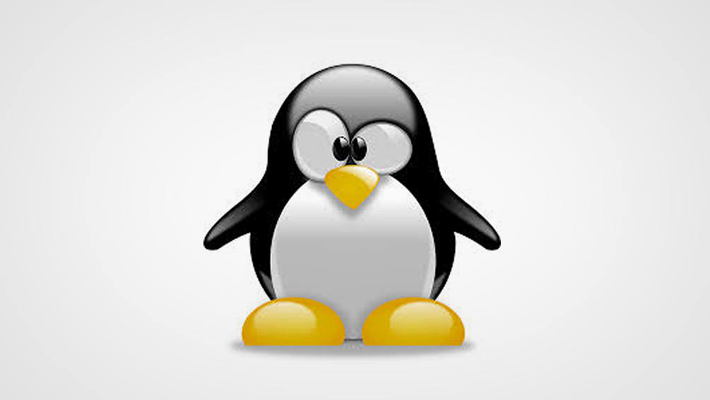 Curso de Administraci&oacute;n b&aacute;sica de Linux