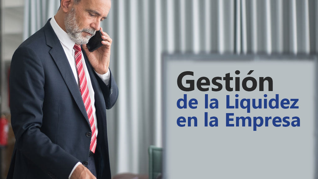 Curso de Gesti&oacute;n de la liquidez en la empresa