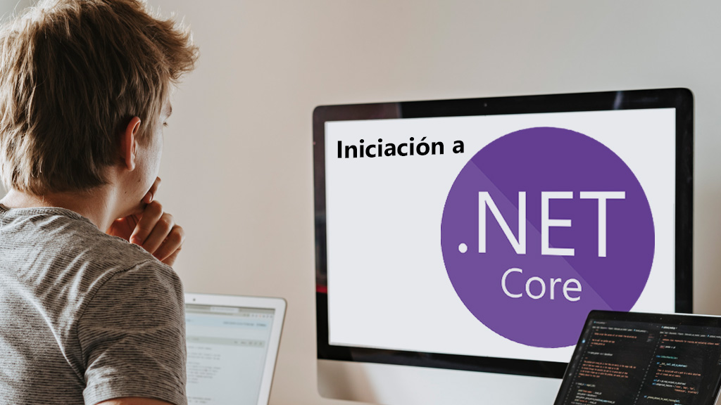 Curso de Iniciaci&oacute;n a la programaci&oacute;n en .NET Core