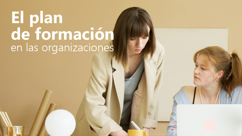 Curso de El plan de formaci&oacute;n en las organizaciones