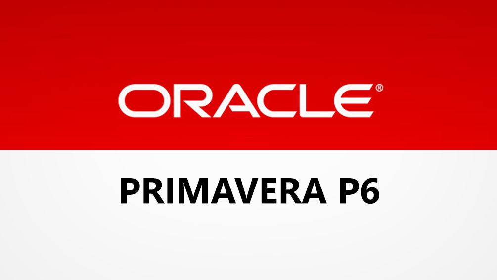 Curso de Primavera Project Planner P-6