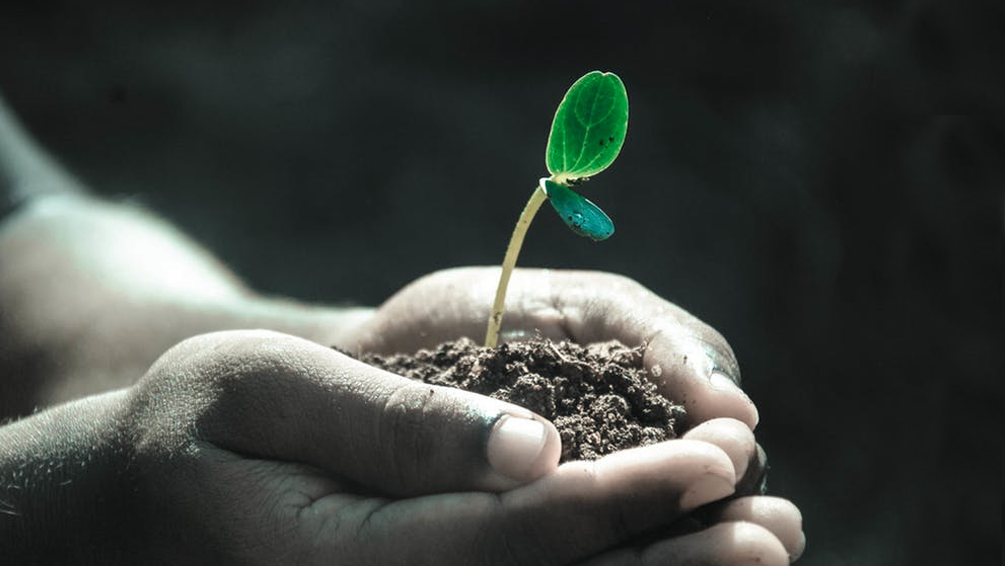 Curso de Ley 27/2013 Racionalizaci&oacute;n y sostenibilidad