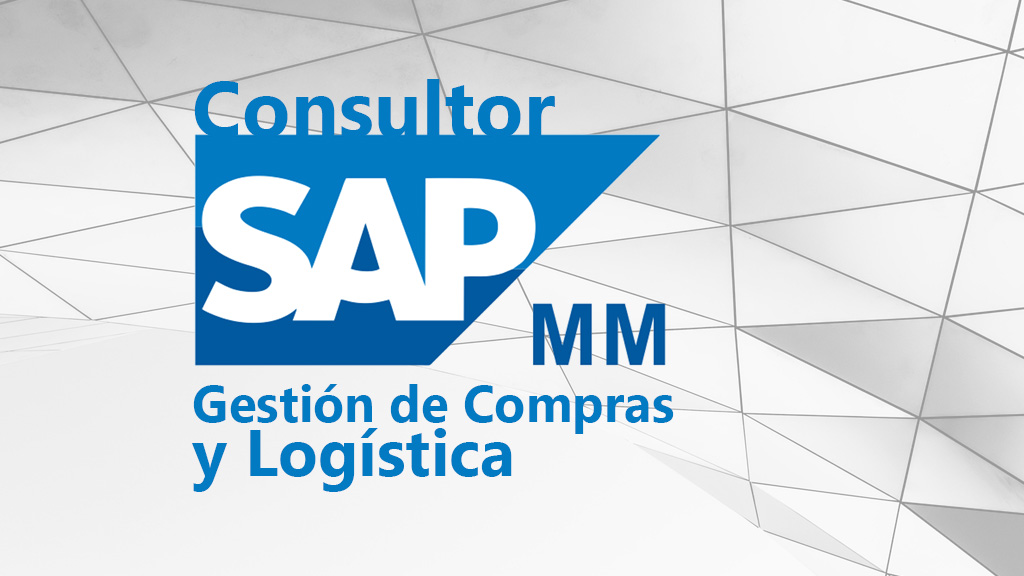 Curso de Consultor SAP MM: Gesti&oacute;n de compras y log&iacute;stica