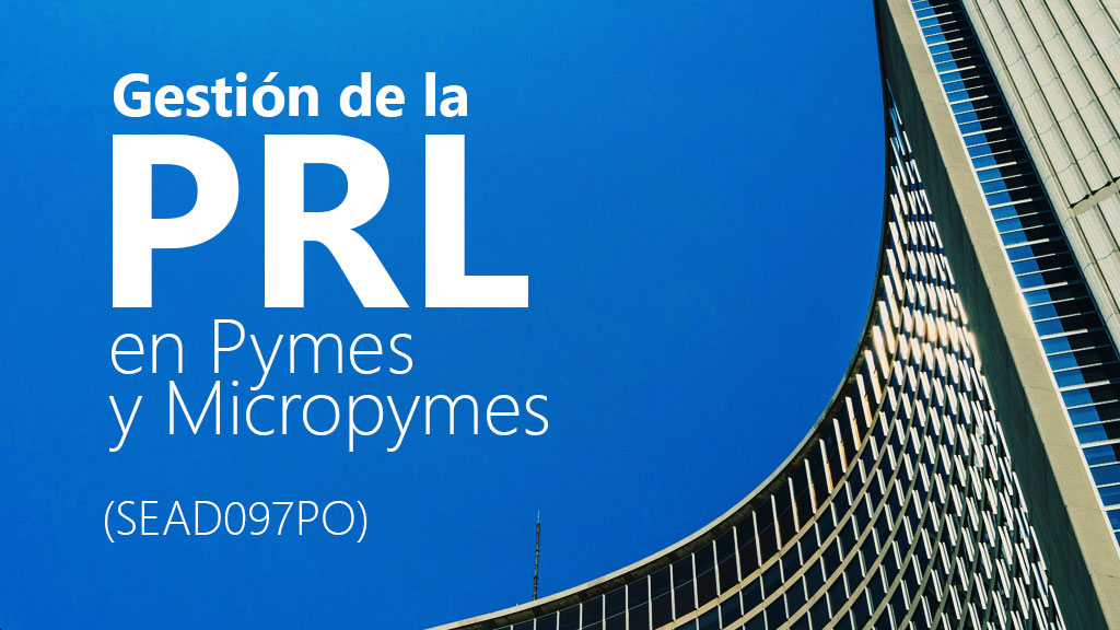 Curso de Gesti&oacute;n de la PRL pymes y micropymes (SEAD097PO)
