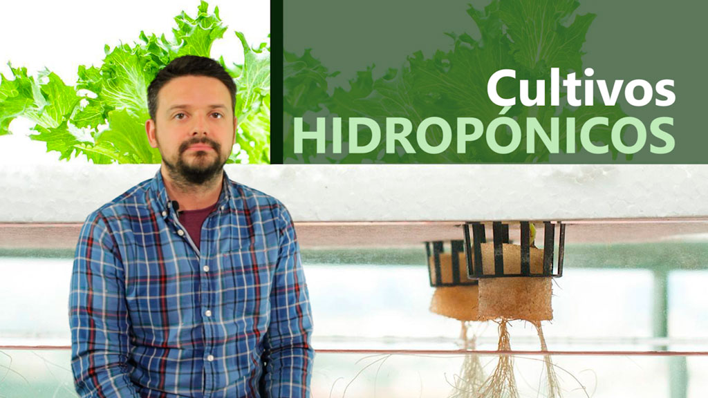Curso de Sistemas hidrop&oacute;nicos y cultivos sin suelo